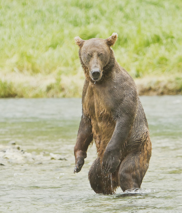 Katmai National Park