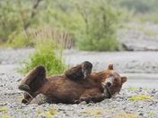 Katmai National Park