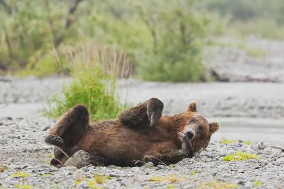 Katmai National Park