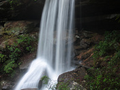 Daniel Boone National Forest
