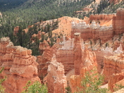 Bryce National Park