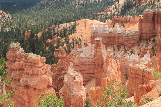 Bryce National Park