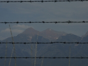 National Bison Range