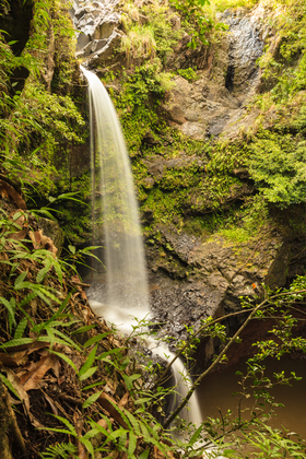 Haleakala National Park Kipahulu Area