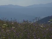 National Bison Range