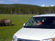 Yellowstone National Park