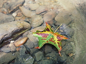 Cuyahoga National Park, Ohio
