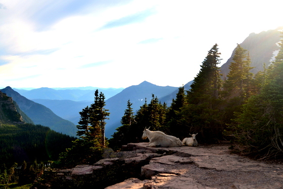Glacier National Park