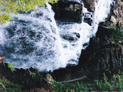 Shoshone National Forest
