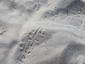 White Sands National Monument