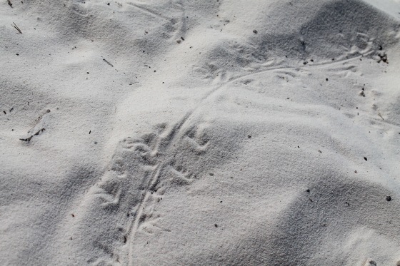White Sands National Monument