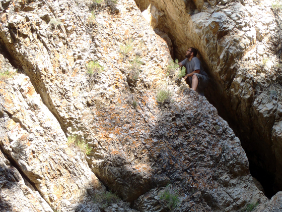 Uinta-Wasatch-Cache National Forest