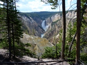 Yellowstone National park
