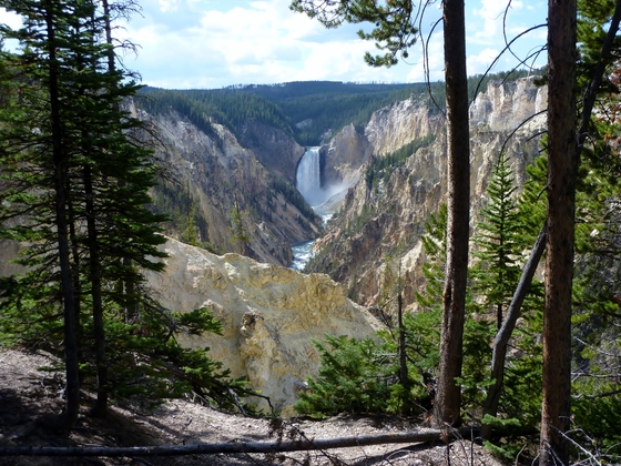 Yellowstone National park