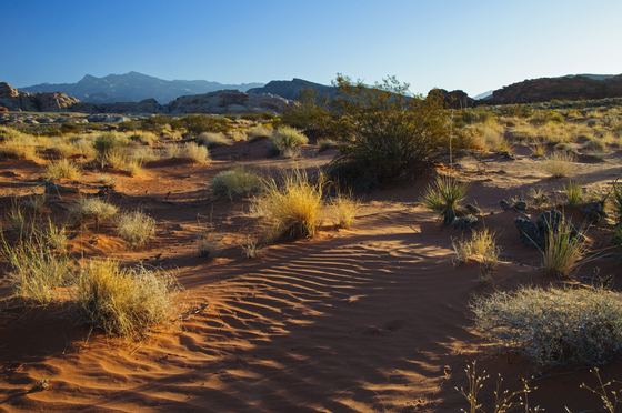 Lake Mead National Recreation Area