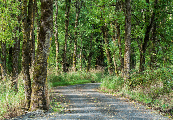 Ridgefield National Wildlife Refuge