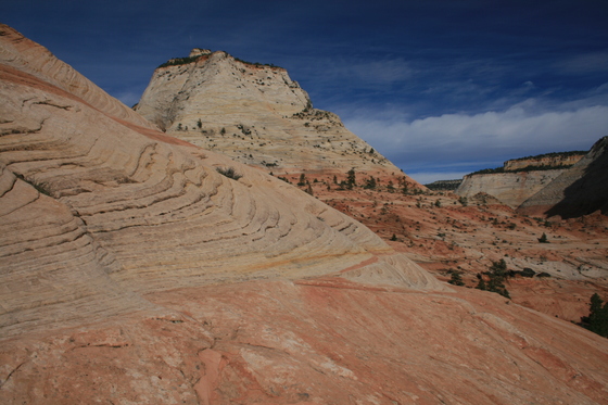 Zion National Park