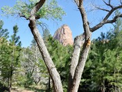 Zion National Park