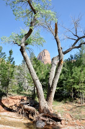 Zion National Park
