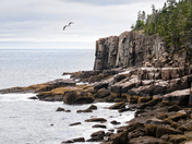 Acadia National Park