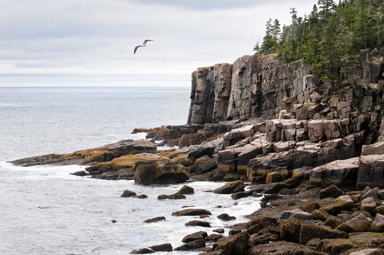 Acadia National Park