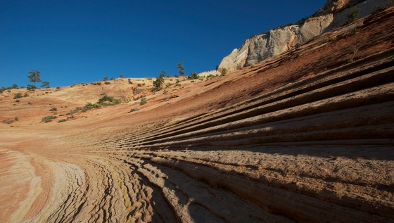 Zion National Park
