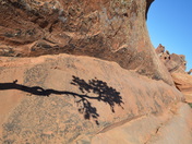 Arches National Park