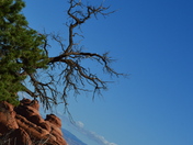 Arches National Park