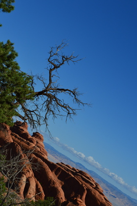 Arches National Park
