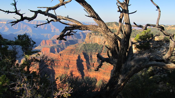 Grand Canyon-North Rim