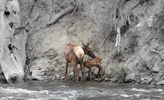 Yellowstone National Park
