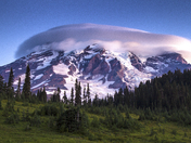 Mt. Rainier National Park