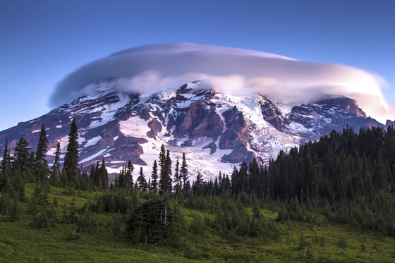 Mt. Rainier National Park