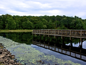 Patuxent Wildlife Refuge
