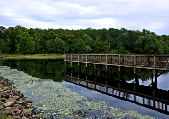 Patuxent Wildlife Refuge