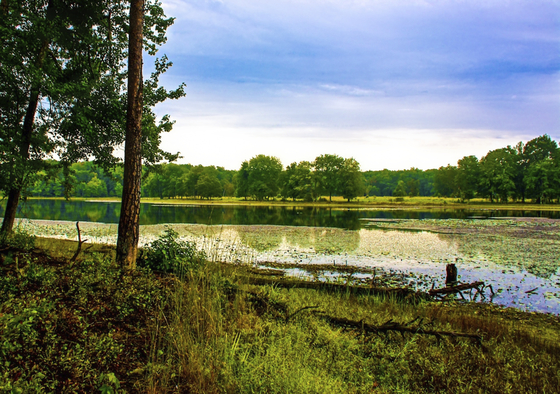 Patuxent Wildlife Refuge