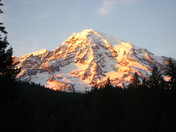 Mount Rainier National Park