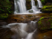 Smoky Mountains 