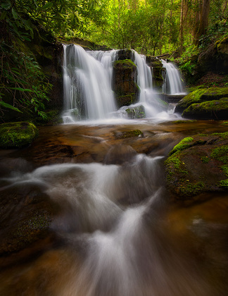 Smoky Mountains 