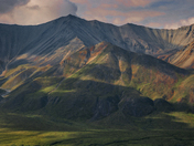 Denali National Park