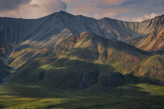 Denali National Park
