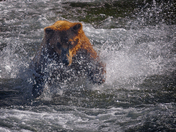 Katmai National Park, Alaska