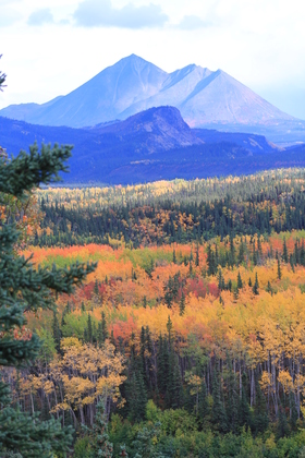 Denali National Park