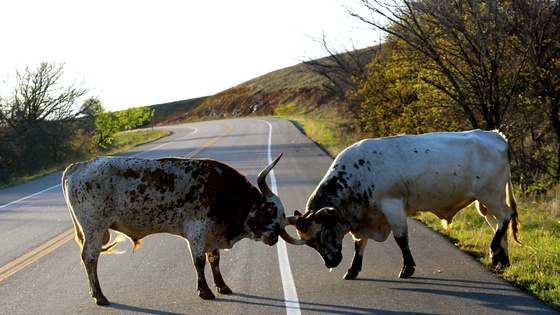 Wichita Mountains Wildlife Refuge