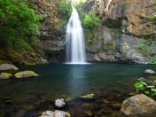 Shasta-Trinity National Forest