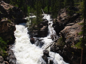 Adams Falls- Rocky Mountain National Park