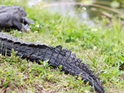 Everglades National Park