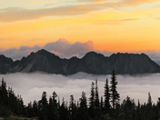Mt. Ranier National PArk