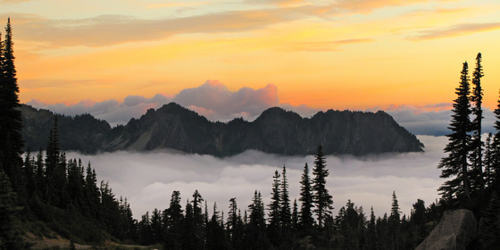 Mt. Ranier National PArk