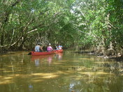 Everglades National Park